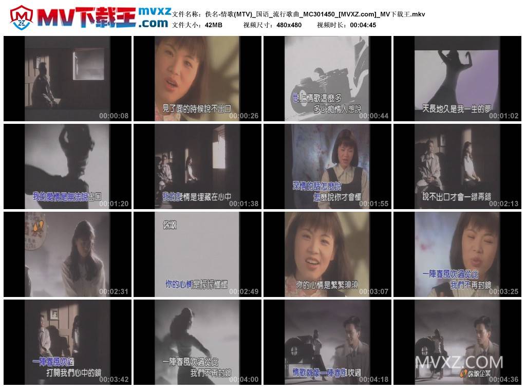佚名-情歌(MTV)_国语_流行歌曲_MC301450